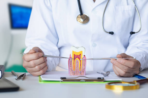 Best Emergency Dental Services for Seniors in Stanaford, WV